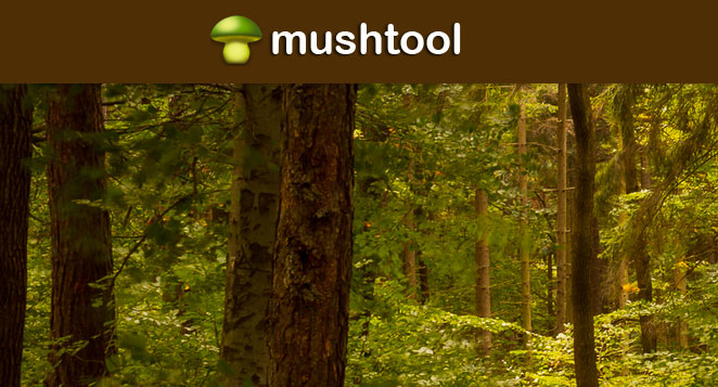 Mushtool