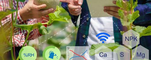 Agrifood Data Science